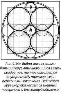 Восемь клеток
