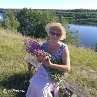 Сосновка архангельская