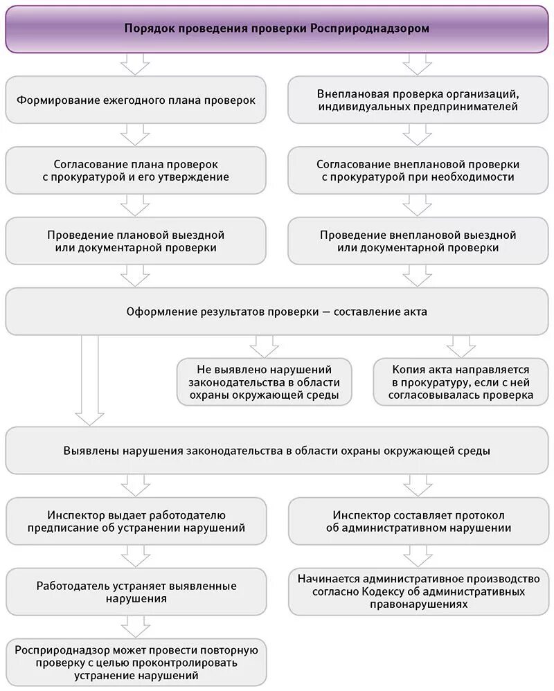 Порядок проведения проверок. Процедуры проведения проверки. Порядок проведения плановой проверки. Порядок организации и проведения плановой проверки. Порядок проведения проверки по факту