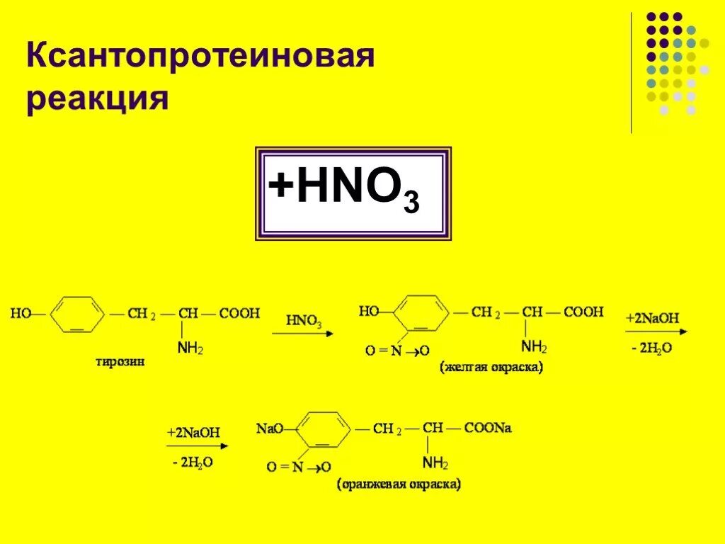 Белки с азотной кислотой. Качественная реакция на белок ксантопротеиновая. Ксантопротеиновая реакция на тирозин в белке. Качественная реакция на ксантопротеиновая реакция белка. Качественная реакция на белки ксантопротеиновая реакция.