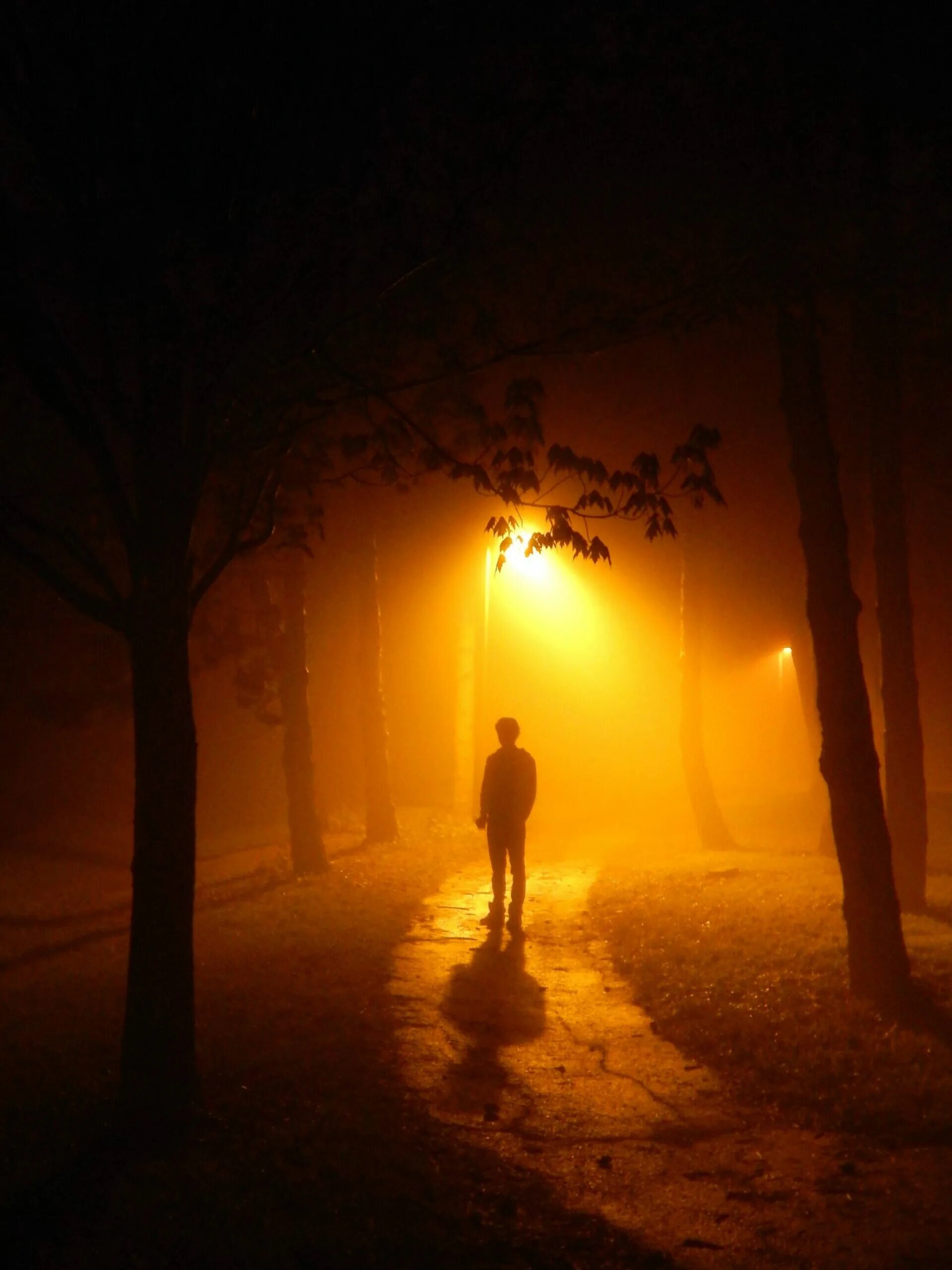 Быть под фонарем. Ночь улица фонарь. Зима одиночество. Улицы ночью силуэт. Быть под фонарем.