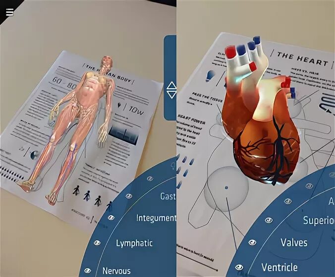 Anatomy 4pda. Anatomy 4pda