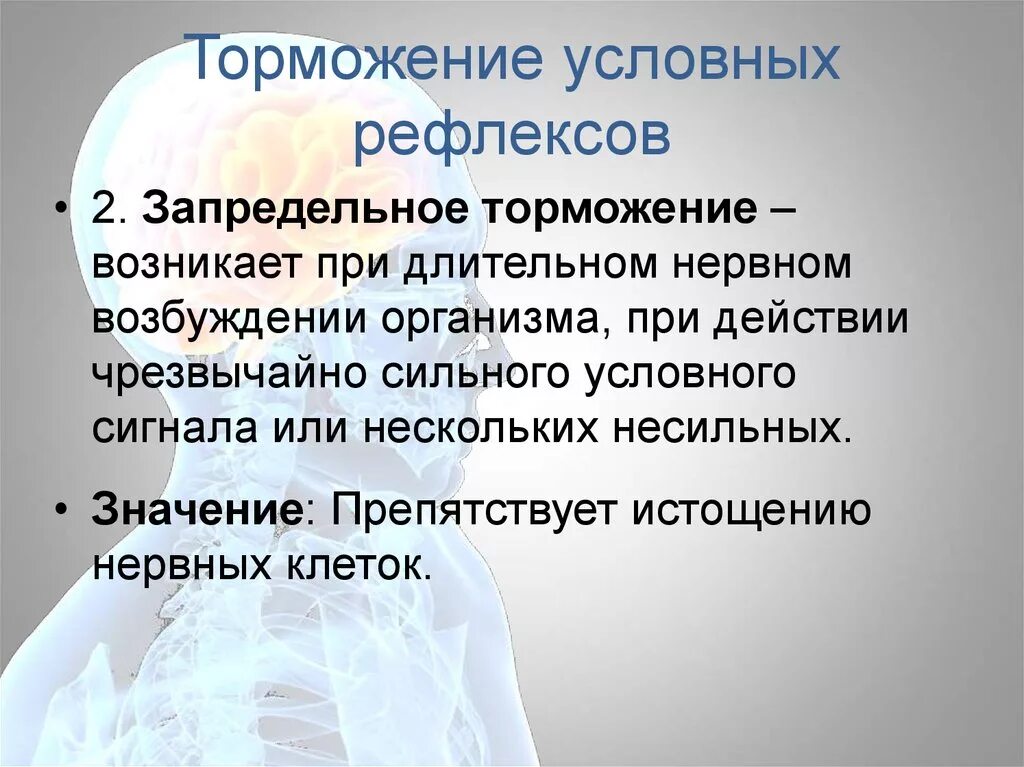 Высшая нервная деятельность презентация. Значение образования условного рефлекса в организме. Торможение условных рефлексов. Запредельное торможение условных рефлексов. Биологическое значение рефлексов