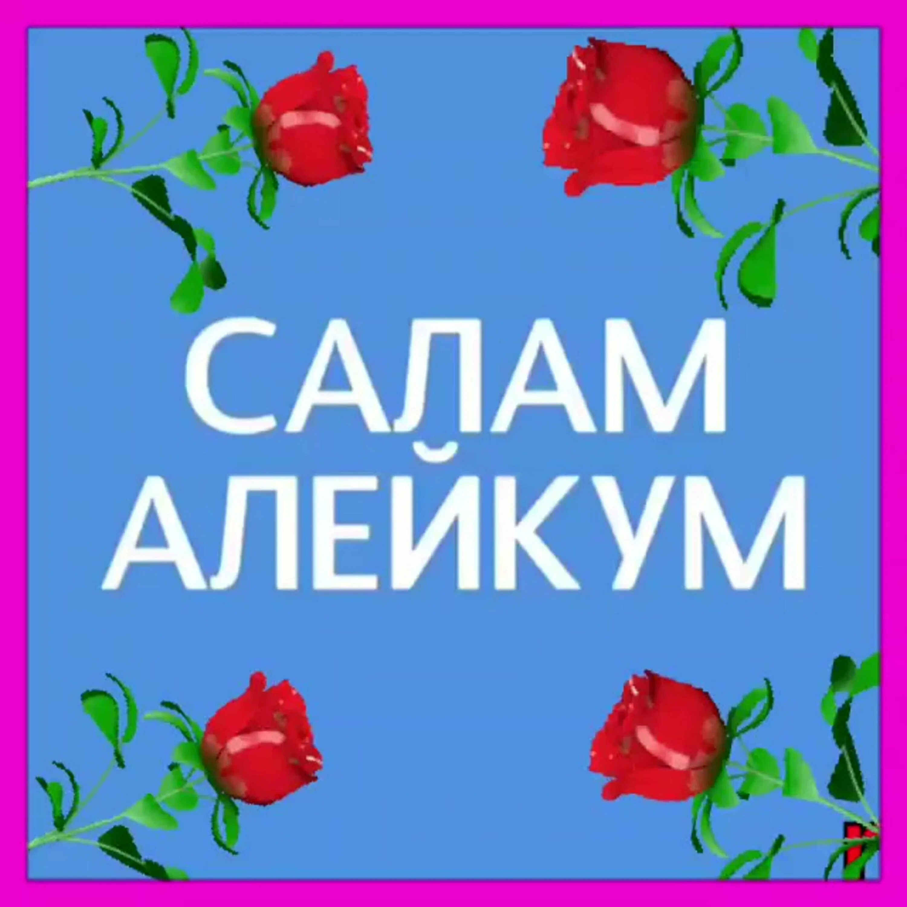 Салам малейкум малейкум песня. Салам алейкум. Открытки Салам алейкум. Открытки Ассаламу алейкум. Всем Салам алейкум.