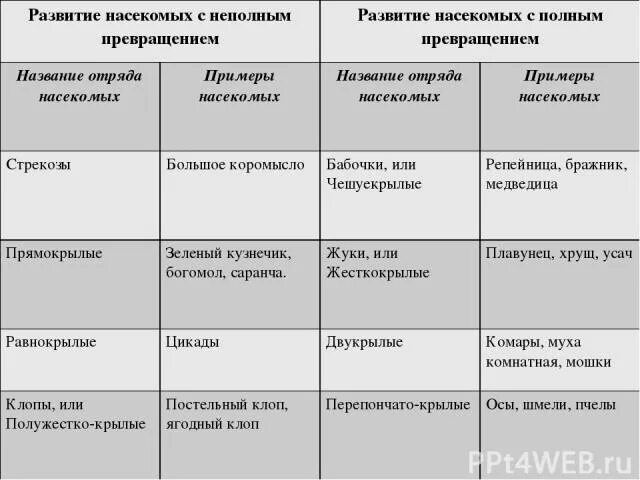 Определение типа развития