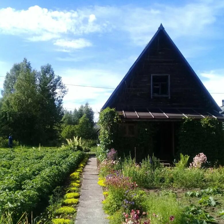 Приморск ленинградская область дачи. Приморск дачи новых русских. Приморск ленинградская область дома. Частный сектор ленинградская область. Приморск ленинградская область дачи.