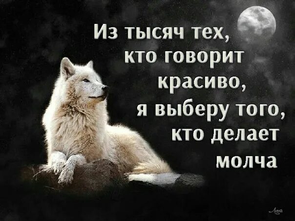 Место для цитаты. Из тысячи тех кто говорит красиво я выберу. Изменить человека невозможно. Цитаты ты нужен. Из тысячи тех кто говорит красиво я выберу того кто молча делает дела.