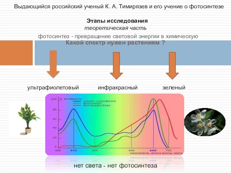 Какой спектр нужен растениям. Спектр лучей для фотосинтеза. Влияние света на фотосинтез. Влияние освещения на фотосинтез.