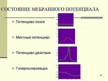 Возбудимость какая ткань