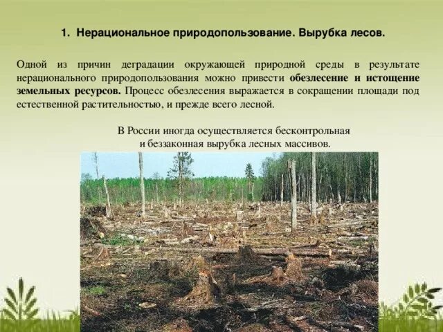 Осушение болот рационально или нерационально. Нерациональное использование лесов. Задачи по вырубке лесов. Деградация лесов и обезлесения. Последствия вырубки лесов.