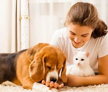Pets vs pets