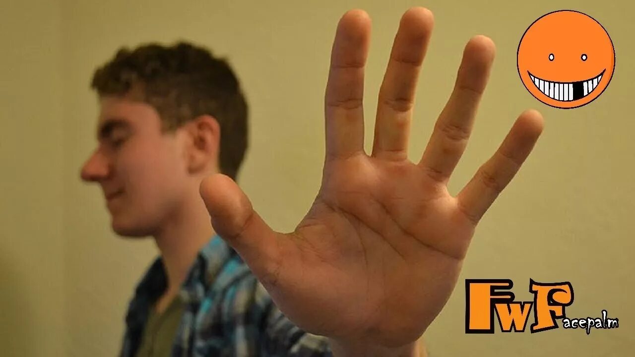 Hands on history