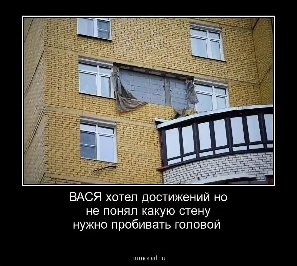 Хочу васю. Хочу васю. Я люблю васю надпись. Хочу васю. Кот ест одуванчик.