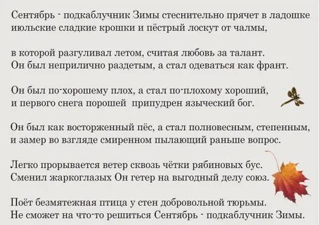 Подкаблучники отзывы