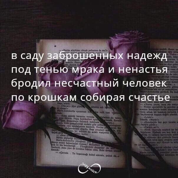 Песня несчастный человек. Бродил несчастный человек по крошкам собирая. В саду заброшенных надежд. В саду заброшенных надежд под тенью мрака и ненастья бродил. Стихотворение несчастные.