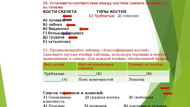 Установите соответствие между скелетом и костями. Установите соответствие между костями скелета человека и их типами. Установите соответствие кости скелета человека соединение костей. Установитт соответстке между пимерами кос кй.