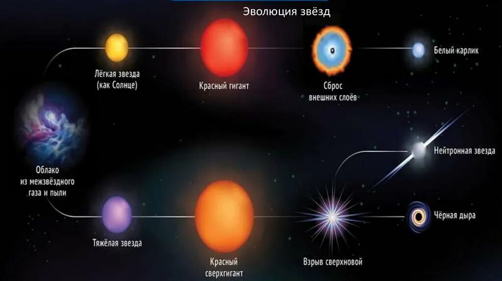 Финал эволюции звезды сканворд 7. Жизненный цикл звезд протозвезда. Этапы звездной эволюции. Последовательность стадий эволюции звезд. Эволюция звезд астрономия.