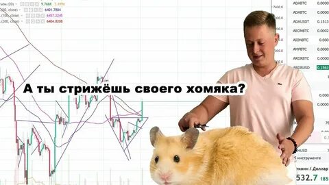 Как продать хомяка на бирже bybit