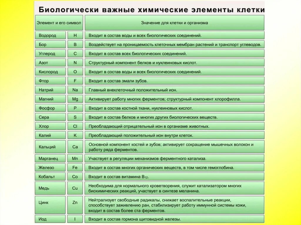 Соподчинение элементов в организме человека. Биологические важные химические элементы клетки таблица.