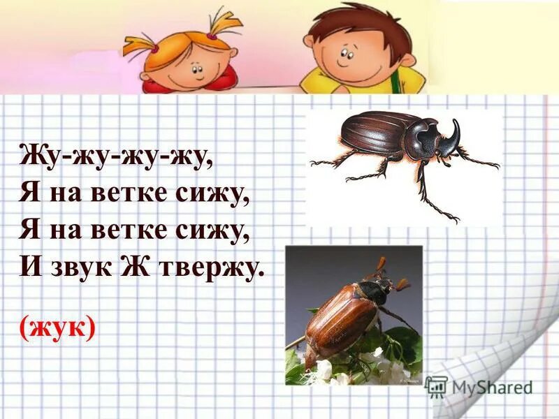 Буква ж имеет столько ножек. На что похожа буква ж рисунок. Ж имеет много ножек будто буква ползать. Ж имеет много ножек будто буква ползать. Ж имеет много ножек будто буква ползать.