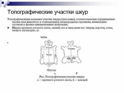Изменение участка кожи