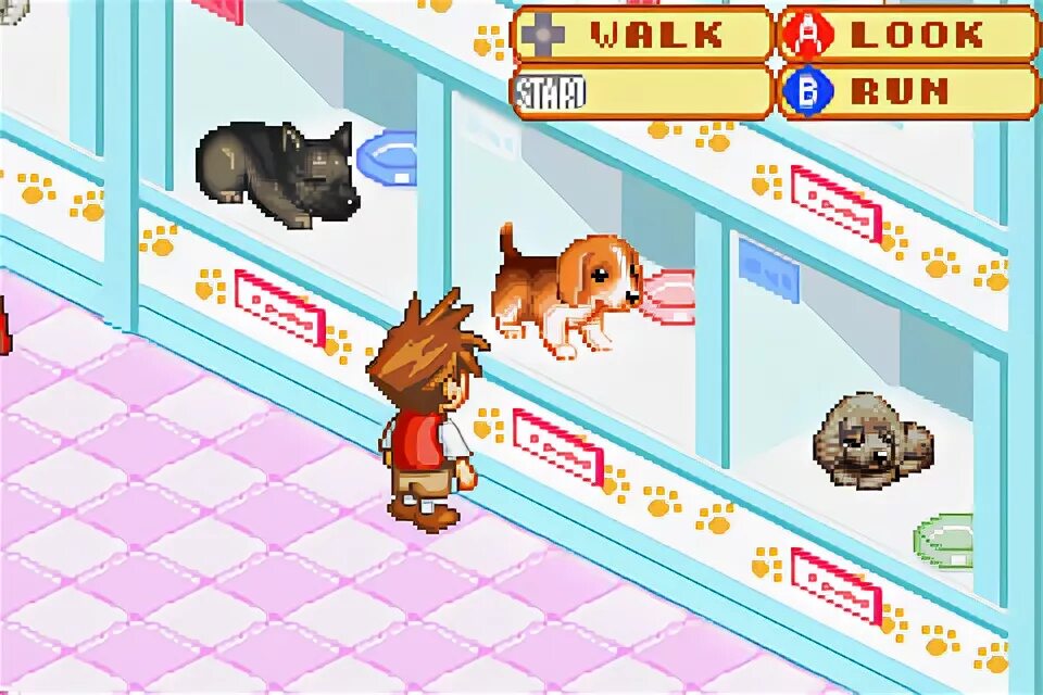 Время игры щенка. Игра Petz Dogz. Petz Dogz 2. Игра Petz 5. Petz Catz и Dogz 6.