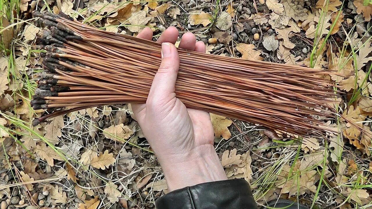 Плетеное дно. Some sticks. Some sticks. Чай из веток смородины. Some sticks.