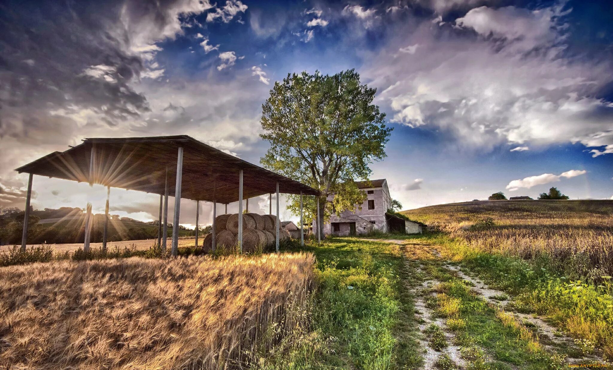 Фермерский домик. Сельская местность. Домик в поле. Фермерский пейзаж. Countryside life 18