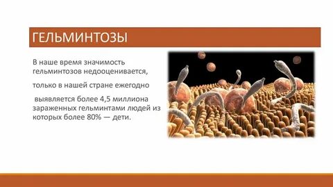 Возбудитель гельминтоза