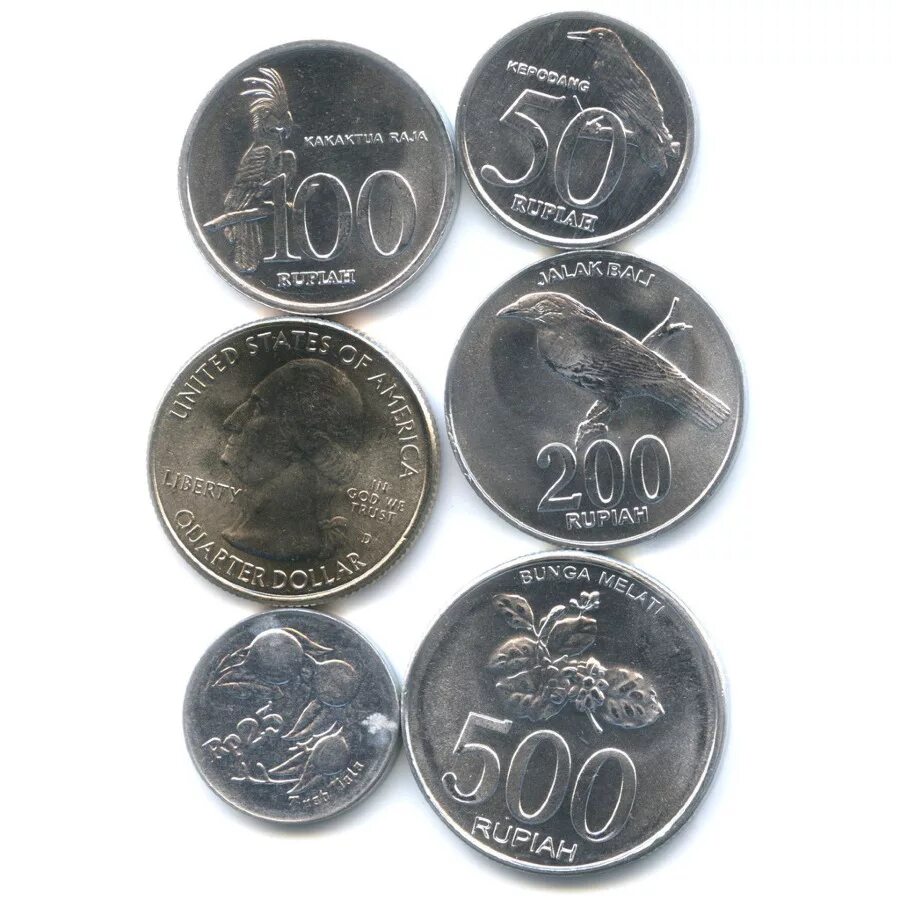 монетки индонезия 100. монеты индонезии. монеты индонезии. монеты индонезии. монеты индонезии современные.