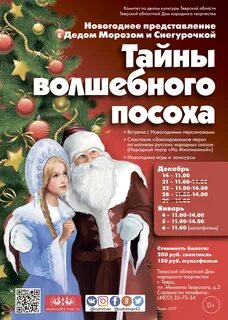 Новогодняя программа ростов