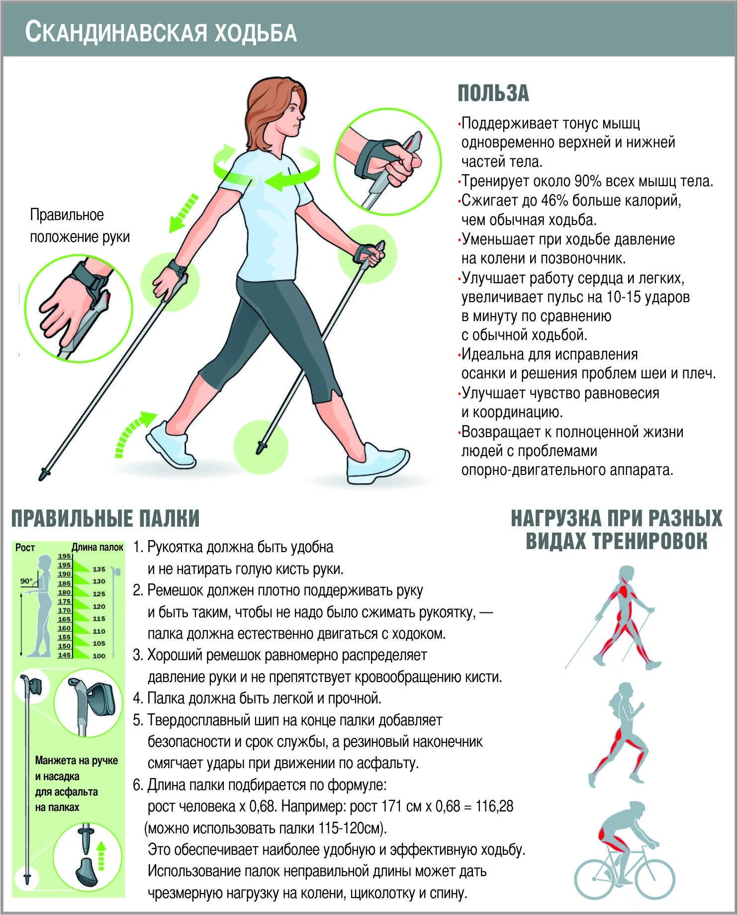 Скандинавская польза вред. Как правильно ходить с палками для скандинавской ходьбы. Скандинавская ходьба техника ходьбы для начинающих. Техника скандинавской ходьбы для начинающих с палками. Инструкция при скандинавской ходьбе с палками для пожилых.