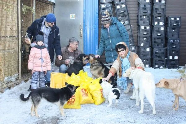Владелец приюта для животных. Приют добрые руки томск. добрые руки приют для животных омск. приют «в добрые руки»долгопрудный. омский приют для животных.