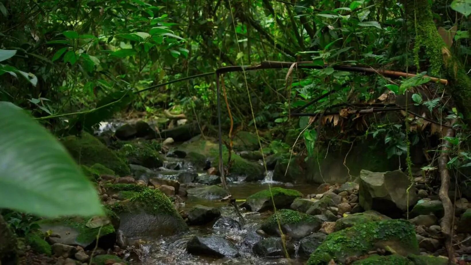 Земля 2 2016. Земля 2 2016. Планета земля фильм ввс. Bbc: планета земля сериал. Кеплер 452 b планета.