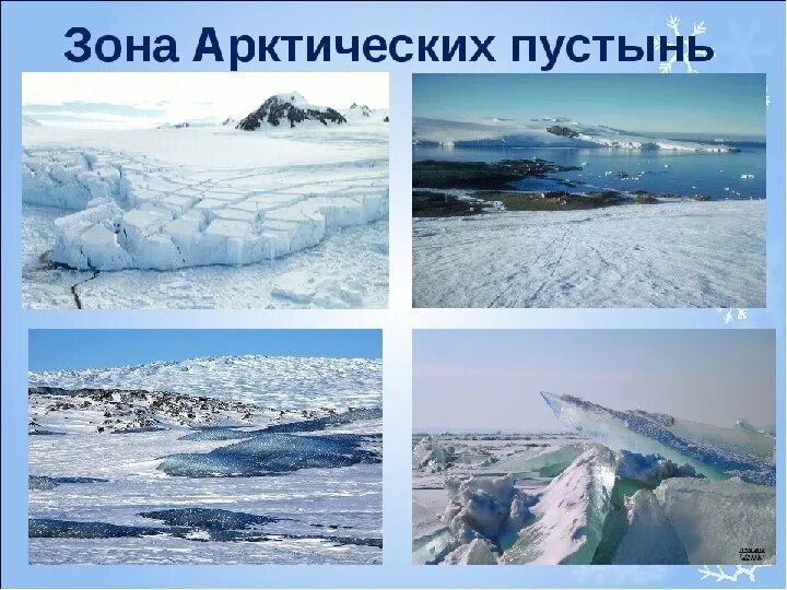 Арктическая зона северной америки. Природные зоны России Арктика. Зона арктических пустынь. Природная зона арктических пустынь. Природные зоны России арктические пустыни.