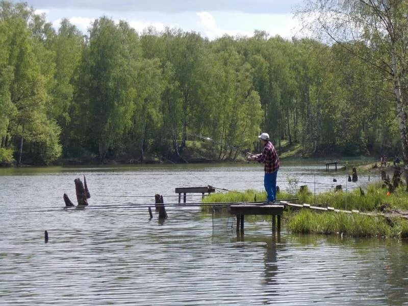 Медвежьи озера рыбалка. Лёдовское озеро Щелковский. Пруды Коротыгино. Петрищенский пруд рыбалка Щелковский район. Ледовская озеро Щелковский район.