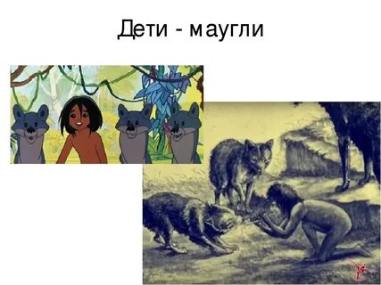 Презентация маугли обществознание