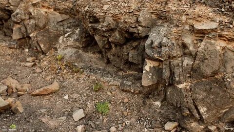 Собственно в реальное время