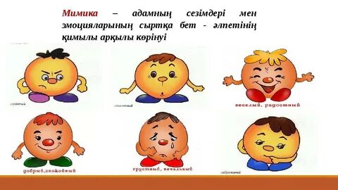 Миджет секс туралы фильмдер