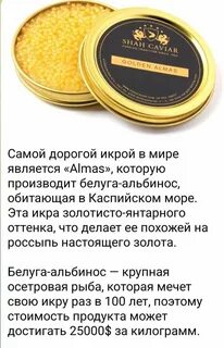 Дорогая икра в мире