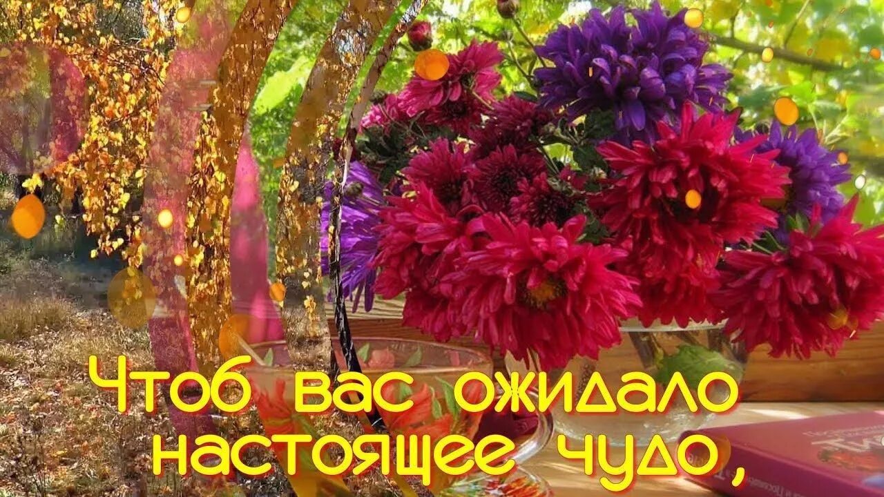 Осенние открытки с добрым утром благословенного дня. Поздравление с добрым осенним утром. красивые пожелания доброго осеннего утра. открытки доброе утро с осенними цветами. открытки с добрым утром осенние красивые.