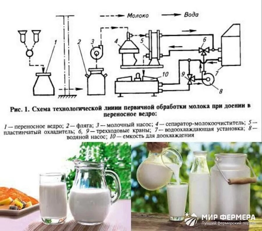 Переработка продукции молока. Технологическая схема первичной обработки молока. Схема первичная обработка молока на ферме. Технологическая линия первичной обработки молока. Обработка молочных продуктов.