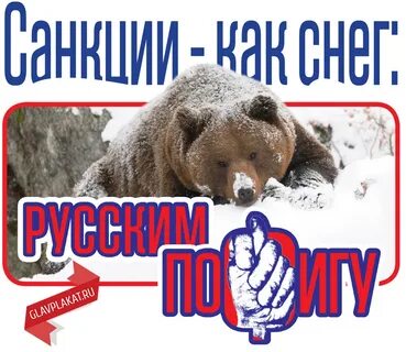 Жду санкций