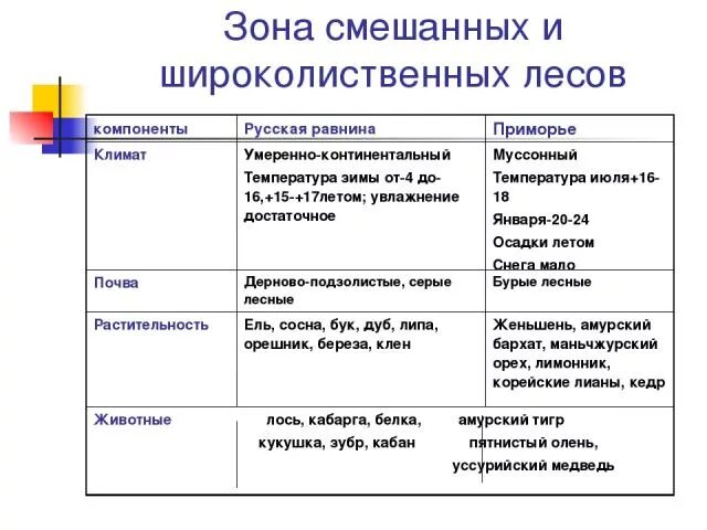 Русская равнина таблица 8 класс география. Смешанные и широколиственные леса русской равнины. Зона смешанных широколиственных лесов русской равнины. Компоненты русская равнина Приморье таблица. Сравнение смешанных и широколиственных лесов.