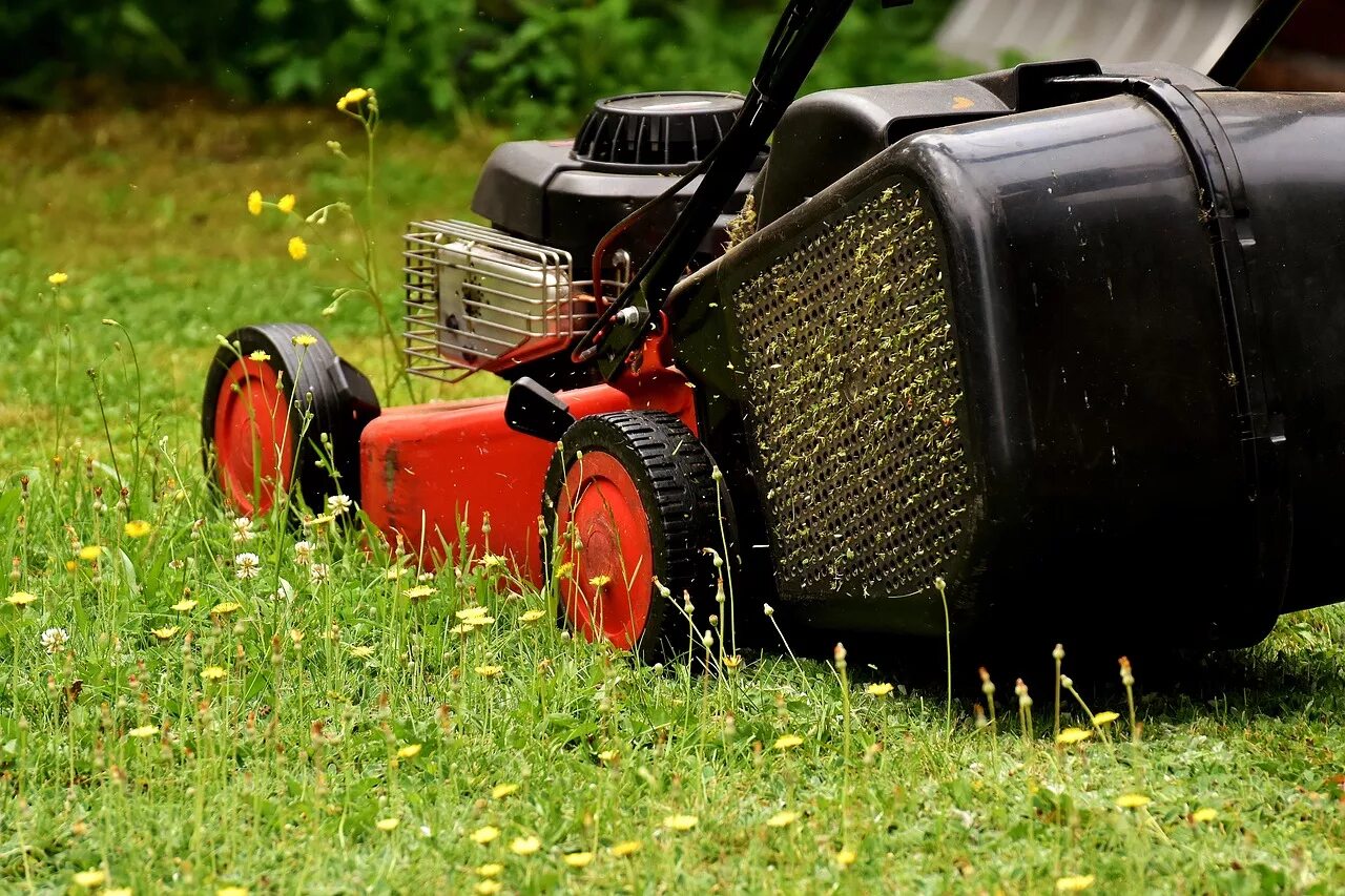 Lawn mower. Газонокосилка скосила траву. Газонокосилка травосборник коьсба лужайка. Стрижка газона. Покос газона.