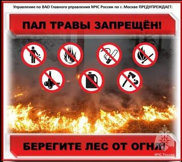 Музыка пал пал