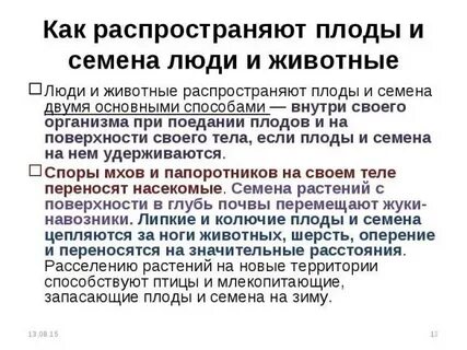 Как опыляют цветки распространяют плоды