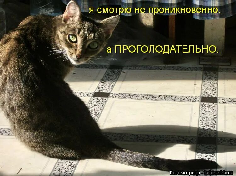 Подайте христа ради. Республика шкид. Песня у курского вокзала стою я. Песня у курского вокзала стою я. Песня у курского вокзала стою я.