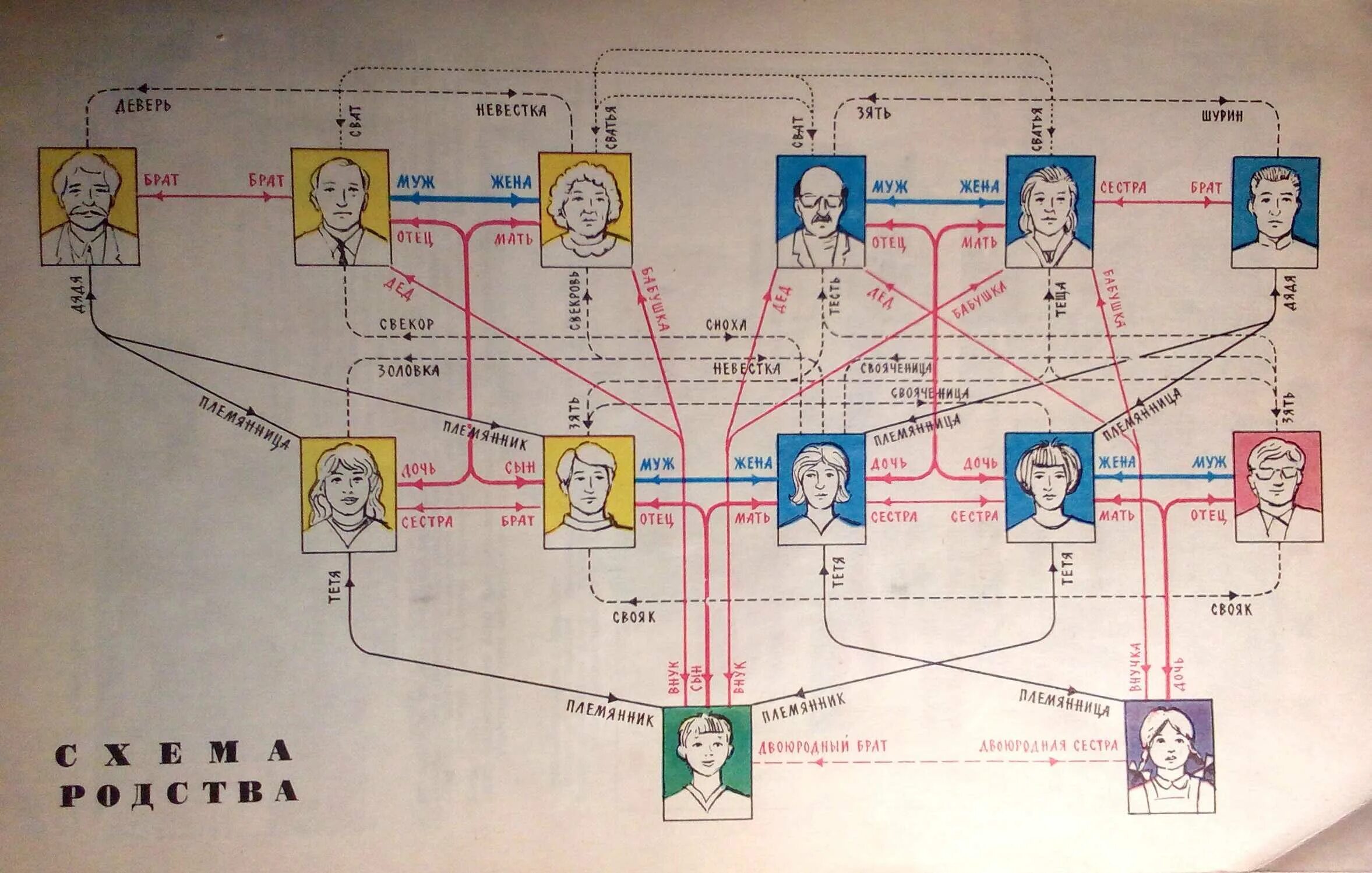 Родственные связи для детей. Родственные связи названия родственников. Родство муж сестры. Дерево названий родственников.