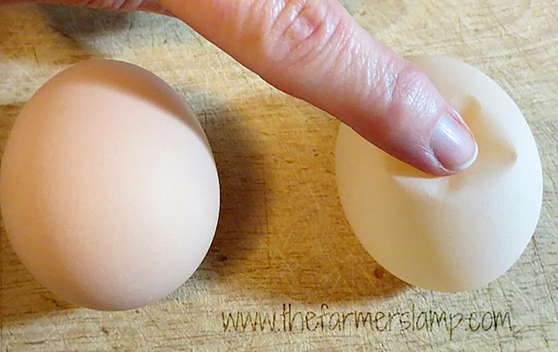 Дефекты скорлупы куриных яиц. Почему скорлупа мягкая